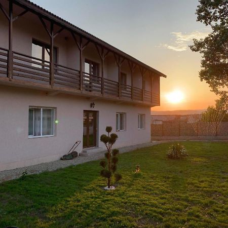 Hotel Pensiunea Alin à Sisesti  Extérieur photo