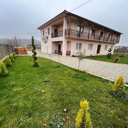 Hotel Pensiunea Alin à Sisesti  Extérieur photo