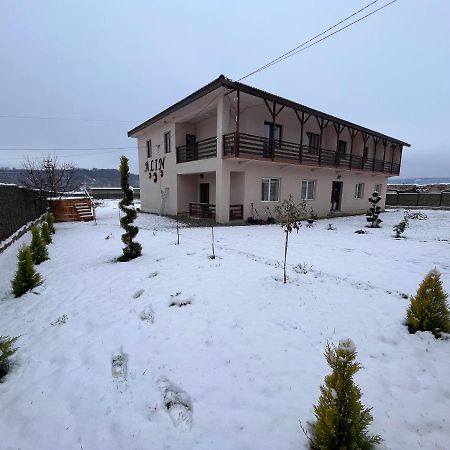 Hotel Pensiunea Alin à Sisesti  Extérieur photo
