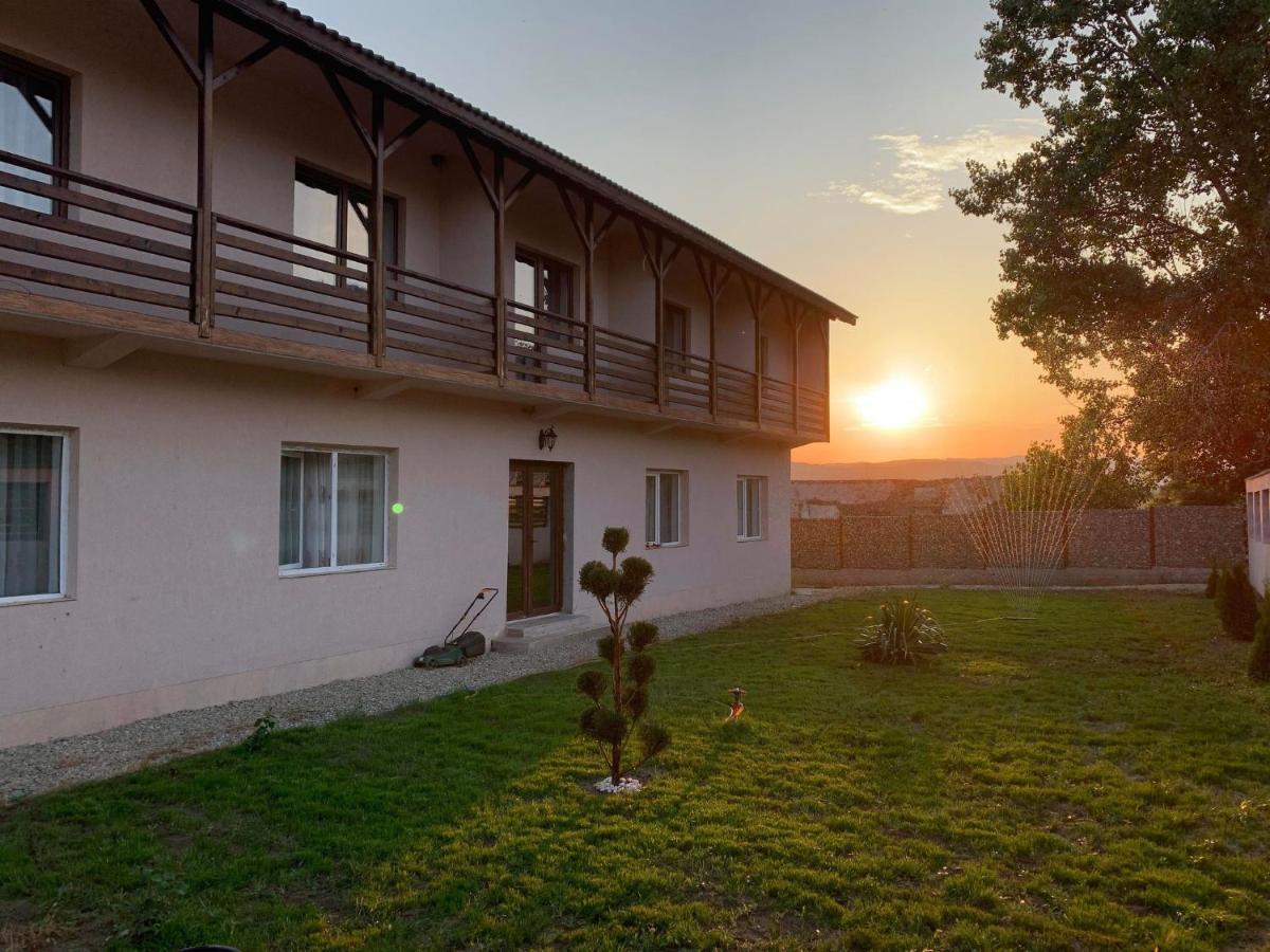 Hotel Pensiunea Alin à Sisesti  Extérieur photo