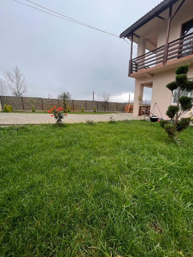 Hotel Pensiunea Alin à Sisesti  Extérieur photo