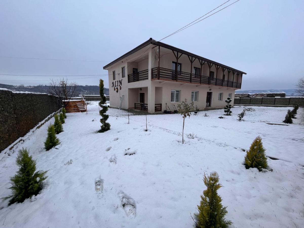 Hotel Pensiunea Alin à Sisesti  Extérieur photo